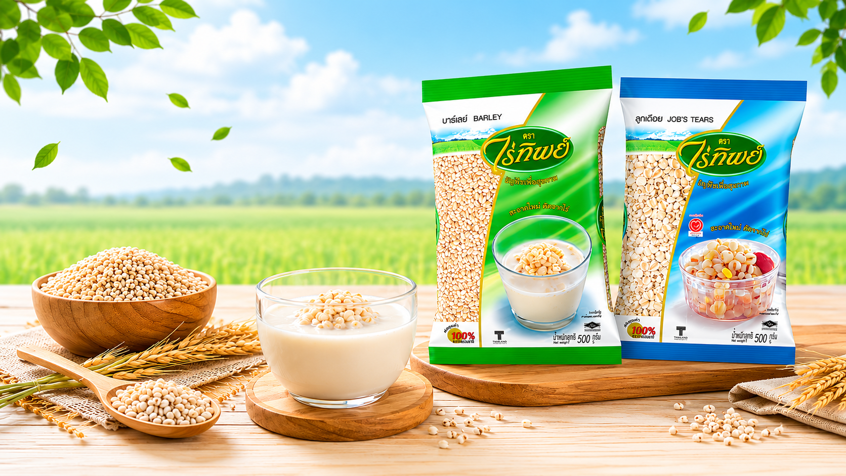 Cereal / Grains